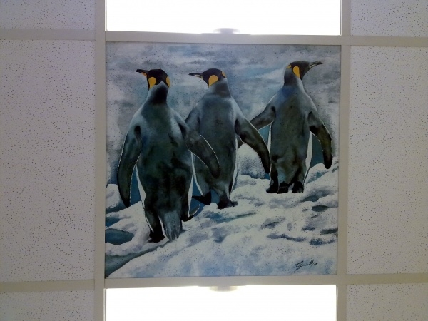 Die-drei-Pinguine-70x70.jpg