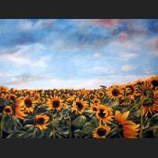 Kinder-der-Sonne-120x110.jpg
