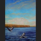 Wildgaense-50x40.jpg